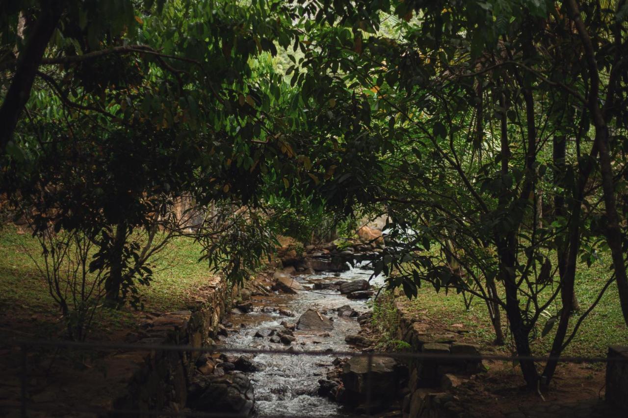 Sati Villa Kandy Sri Lanka エクステリア 写真